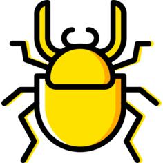 Beetle