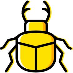 Beetle