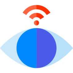 Eye