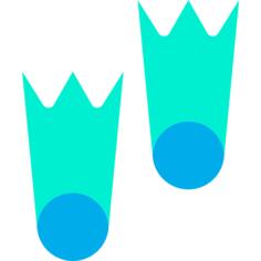 Fins