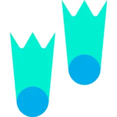Fins
