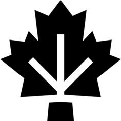 Maple leaf