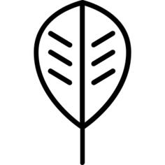 Leaf