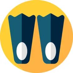 Flippers