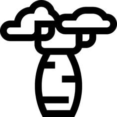 Baobab