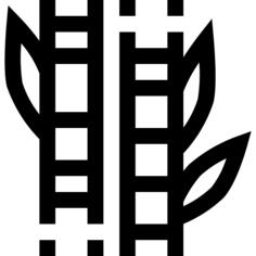 竹