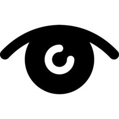 Vision