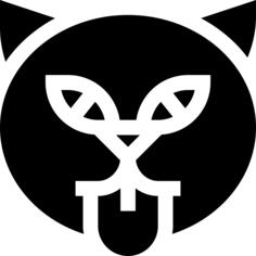 黑猫