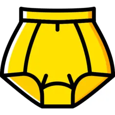 衩