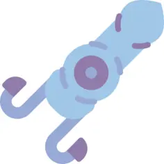 Squid