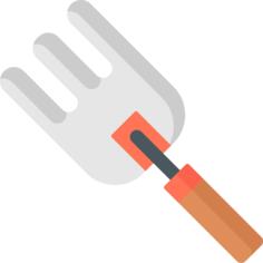 Fork
