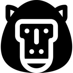 狒狒