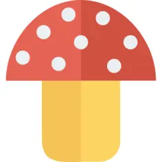 Mushroom