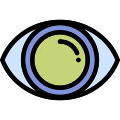 Vision