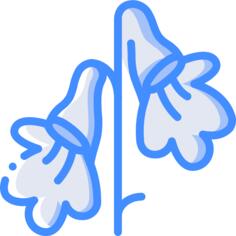 Gesneriad