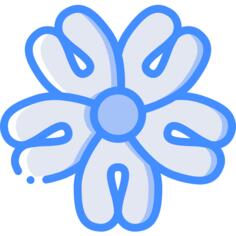 香菜