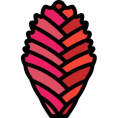 凤梨科
