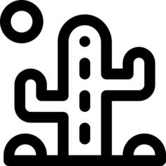 仙人掌