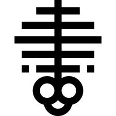 肋