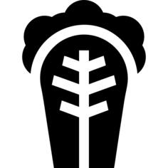 卷心菜