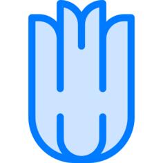 Tulip