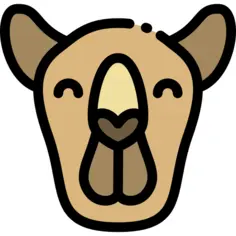Camel