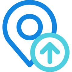 Pin