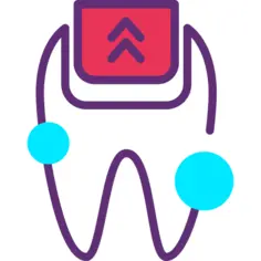 齿