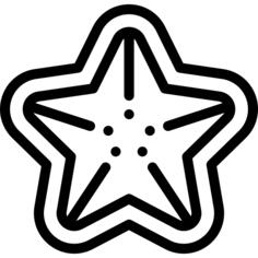 海星