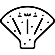 贝壳