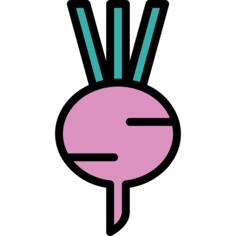 Turnip