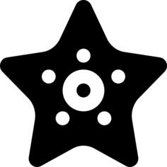 海星