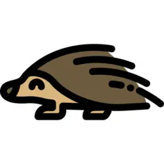豪猪