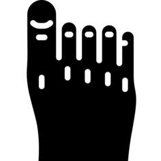 Germanic foot