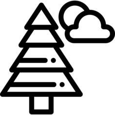 Pine
