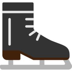 Ice skate