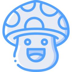 Mushroom