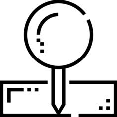 Pin