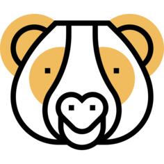Panda bear