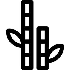 竹