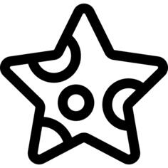 海星