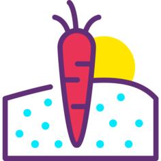 Carrot