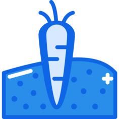 Carrot