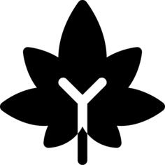 Marijuana