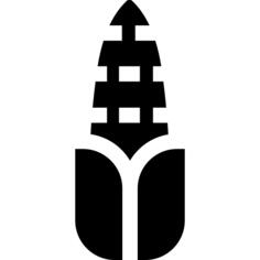 玉米