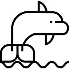 海豚
