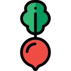 Radish