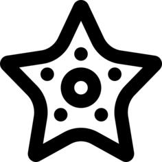 海星