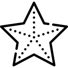海星