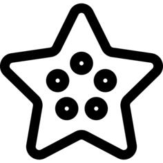 海星